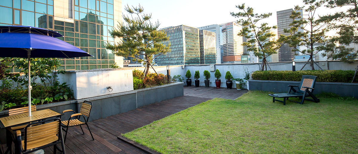 Roof Garden