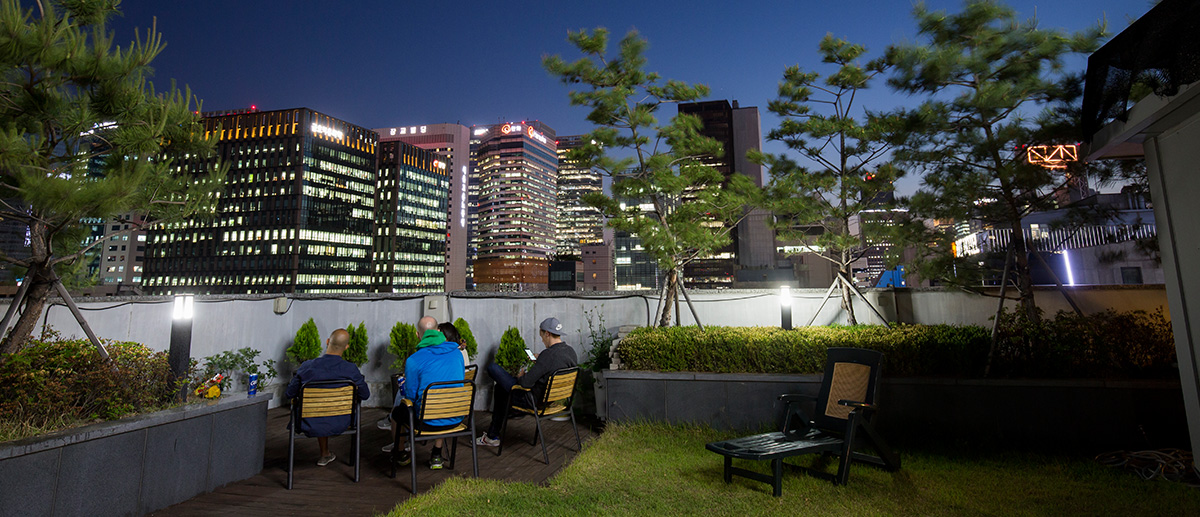 Roof Garden